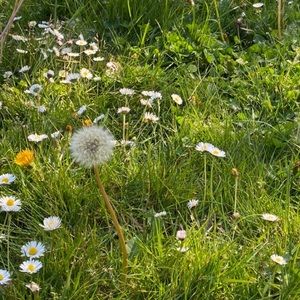 Meet your Posher, Hailey